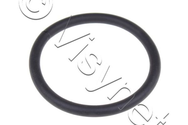 Rowenta Original Staubsauger Motordichtung ø 100 mm | RS-RT3054, RSRT3054